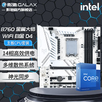 GALAXY 影驰 主板CPU套装 B760搭英特尔 酷睿I5 CPU 影驰 B760金属大师 D4 WiFi 白金版 13代i5 13490F