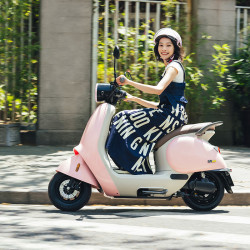 ninebot 九号 q系列 q80c 电动轻便摩托车 jh800dqt-7 60v23ah铅酸