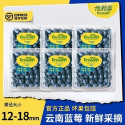 怡颗莓 蓝莓中果125g*6盒
