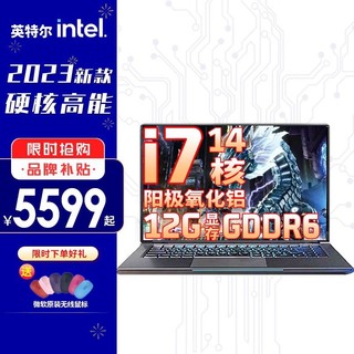 intel 英特尔 X15Arc 12G独显｜16G内存｜512G固态 酷睿i7-12700H｜14核20线程