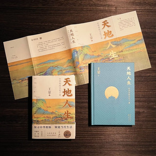 天地人生：中华传统文化十章（2022年月度好书，王蒙大成之作，寻找藏在传统文化里的人生智慧。）
