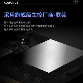 TOPMORE 达墨 水瓶座 AQUARIUS NVMe M.2 固态硬盘 2TB