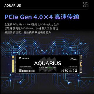 TOPMORE 达墨 水瓶座 AQUARIUS NVMe M.2 固态硬盘 2TB