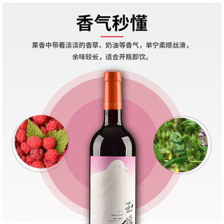 XIGE ESTATE 西鸽酒庄 红酒宁夏贺兰山东麓中国干红葡萄酒玉鸽木槿赤霞珠宋彩釉蓝红酒 宋彩木槿750m*6瓶