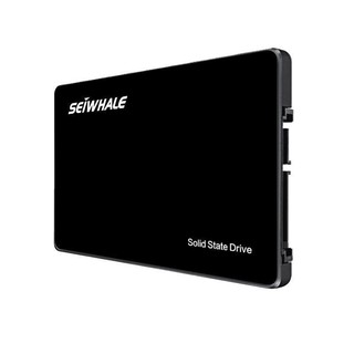 SEIWHALE 枭鲸 ssd固态硬盘 SATA接口 120GB