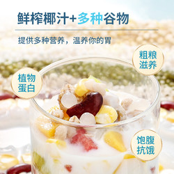 Nanguo 南国 海南特产正宗椰奶清补凉280g*12罐头椰汁饮料品