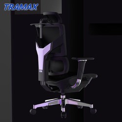 TRAMAX 创思智能 RX3人体工学椅电脑椅学生家用青少年电竞椅网椅 RX3 经典黑