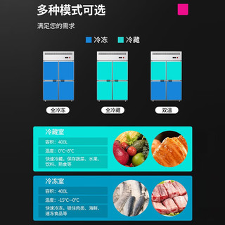 乐创立式4四门冰柜6六门商用冰箱单温双温冷藏冷冻保鲜冷柜厨房冷藏柜 双门不锈钢(全冷冻)