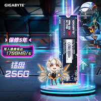 GIGABYTE 技嘉 猛盘325E GSM2NE3256GNTD NVMe协议 M.2 固态硬盘 256GB PCI-E 3.0