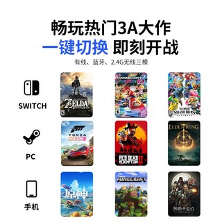 FLYDIGI 飞智 冰原狼2代游戏手柄switch电脑无线蓝牙幻兽帕鲁NS双人成行