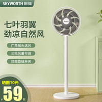 SKYWORTH 创维 电风扇落地扇家用摇头平面扇大风量定时循环扇遥控风扇八叶柔风 小号 七叶 机械款