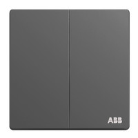 ABB 轩致系列 AF122L-G 双开单控开关 灰色 平面款