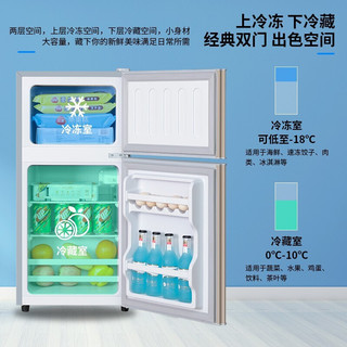 志高（CHIGO）118升双门复古冰箱家用小型彩色网红电冰箱办公室租房冷藏冷冻保鲜速冻母婴母乳化妆品