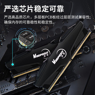 Wodposit 沃存 DDR4 3600MHz 台式机内存 马甲条 黑色 16GB WEI416U3600/AX18