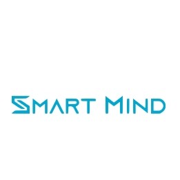 SMART MIND/聪伦