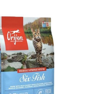 Orijen 渴望 六种鱼系列 无谷全价猫粮 5.4kg*2袋