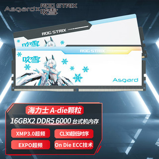 Asgard 阿斯加特 吹雪RGB DDR5 6000MHz RGB 台式机内存 灯条 白色 32GB 16GBx2 C30