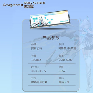 Asgard 阿斯加特 吹雪RGB DDR5 6000MHz RGB 台式机内存 灯条 白色 32GB 16GBx2 C30