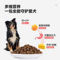 NOURSE 卫仕 狗粮 食荟冻干犬粮 成犬幼犬 小中大型犬通用粮12kg