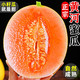 龙觇  优选黄河蜜瓜   9斤超甜