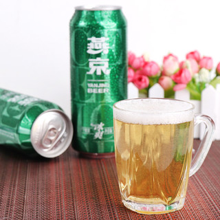 YANJING BEER 燕京啤酒 8度 冰爽啤酒 500ml*12听*2箱