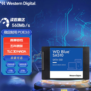 西部数据 蓝盘 SATA 固态硬盘 250GB (SATA3.0) WDS250G2B0A