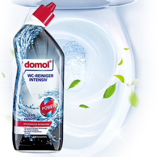 Domol 马桶清洁剂 750ml 海洋香型