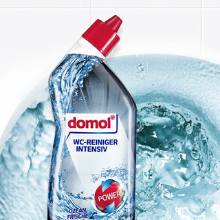 Domol 马桶清洁剂 750ml 海洋香型