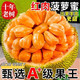龙觇   红肉菠萝蜜  8-10斤