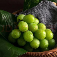 已梦阳光玫瑰新鲜应季时令现摘水果玫瑰葡萄 精选500g