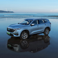 HAVAL 哈弗 H6 23款 国潮版 1.5T 两驱都市版