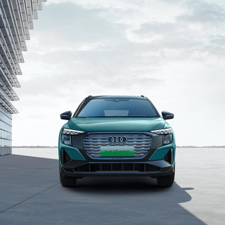 Audi 上汽奥迪 Q5 e-tron 23款 50 e-tron quattro 荣耀型 黑武士版