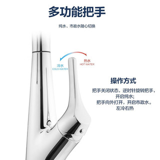 摩恩（MOEN）净朗系列直饮洗涤二合一抽拉式厨房精铜洗菜盆冷热水龙头69700 GN69700BL