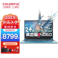COLORFUL 七彩虹 将星X17-AT 17.3英寸游戏笔记本电脑（ i9-13900HX、16GB、512GB、RTX4060）
