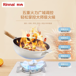 Rinnai 林内 2E30L 马卡龙燃气灶