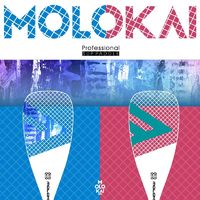 MOLOKAI三节碳桨SUP充气桨板 新款3节蓝色碳桨