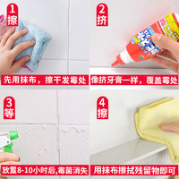 日本进口去霉点霉斑清洁剂除霉剂墙面瓷砖玻璃胶洗衣机密封圈去霉