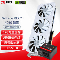 耕升（GAINWARD）RTX4070 12GB 支持DLSS 3 电竞游戏台式机电脑显卡 RTX4070踏雪+850W电源