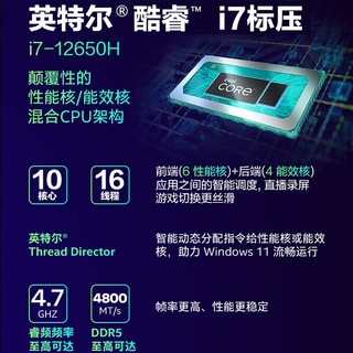 ThundeRobot 雷神 23新品满血RTX4060 12代i7-12650H高性能游戏本