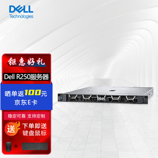 戴尔（DELL) R250入门机架式服务器文件共享办公打印数据库存储E-2356G(6核)/32G/2*2T企业SATA/定制