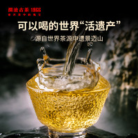 Lancang Ancient Tea 澜沧古茶 2023年001景迈古树茶普洱茶生茶七子饼400g