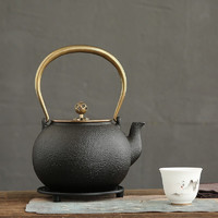 金镶玉 铁壶家用无涂层烧水泡茶壶大容量电陶炉可用铸铁功夫茶具