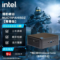 英特尔(Intel) NUC迷你电脑 猎豹峡谷 猎豹峡谷 NUC11PAHi50Z 16G内存/512G固态