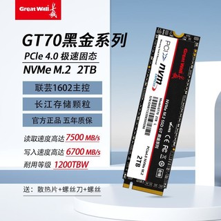 Great Wall 长城 GT70 2TB SSD固态硬盘M.2 支持PS5 NVMe协议