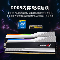 G.SKILL 芝奇 幻锋戟DDR5 24GB x 2 7200C36套条