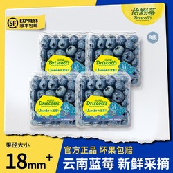 怡颗莓 超大果蓝莓4盒装 云南当季新鲜孕妇宝宝辅食果径18mm以上