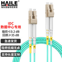 海乐（Haile）万兆多模光纤跳线LC-LC低烟无卤双芯跳纤OM3-300UPC接头50/125尾纤3米HJ-2LC-LC-MT3