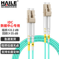 海乐(Haile)万兆多模光纤跳线LC-LC低烟无卤双芯跳纤OM3-300UPC接头50/125尾纤3米HJ-2LC-LC-MT3