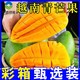 正宗越南进口青芒果新鲜水果批发当季净重4.8斤整箱
