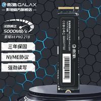 影驰 星曜X4 PRO M.2接口(NVMe协议) PCIe4.0 台式机笔记本电脑SSD固态硬盘 星曜 X4 PRO 2T